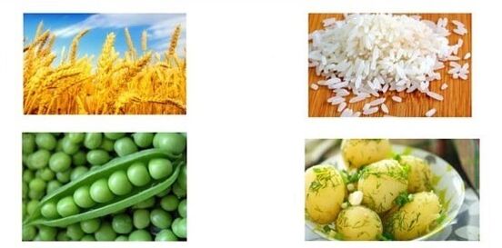 Erhöhung der Protein- und Ballaststoffzufuhr in der Ernährung
